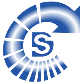 DELICATE SOFTWARE SOLUTIONS